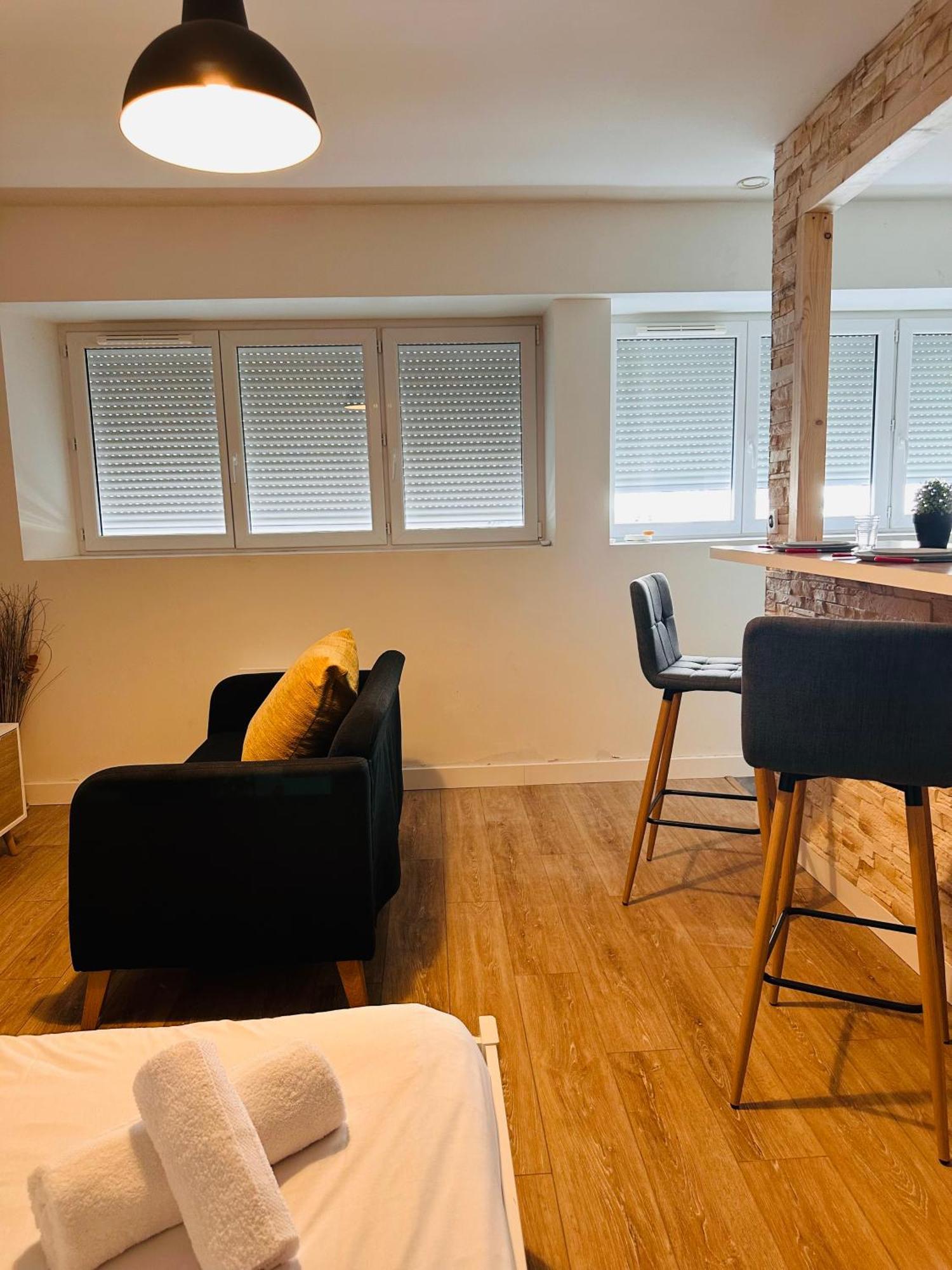 Appartement Cosy Proche De Toutes Les Commodites 올리언스 외부 사진